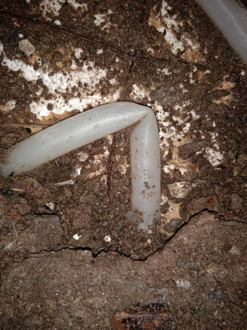 肥城堵点精准查找